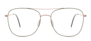 model 421-1