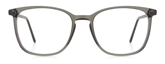 model 8010-1