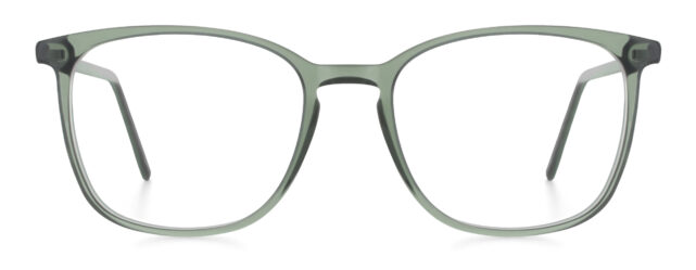 model 8010-1