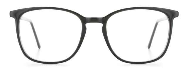 model 8010-1