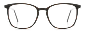 model 8010-1