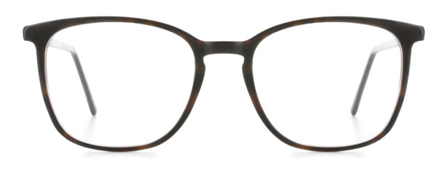 model 8010-1