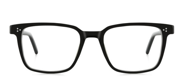 model 8019-1