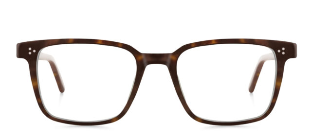 model 8019-1