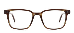 model 8019-1