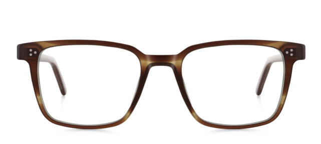 model 8019-1