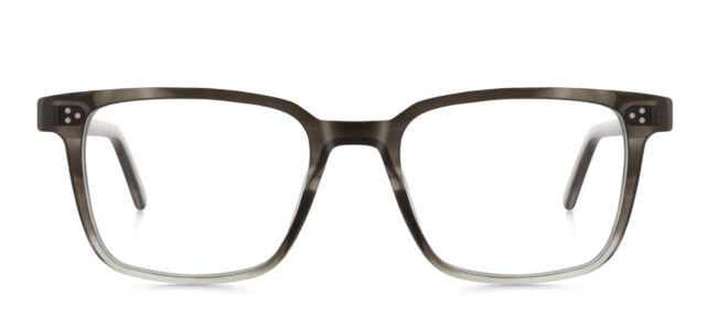 model 8019-1
