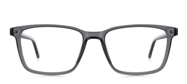 model 8020-1