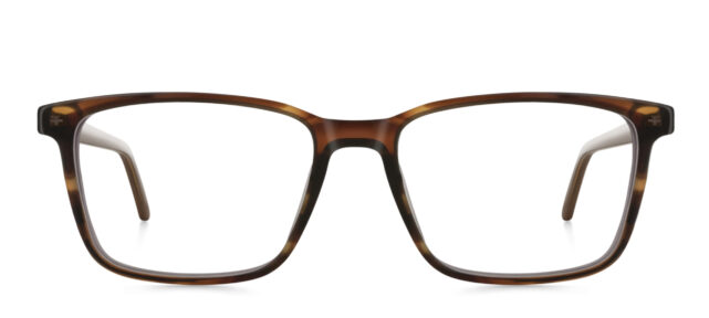 model 8020-1
