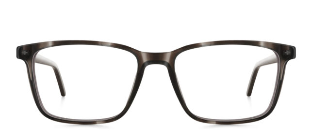 model 8020-1