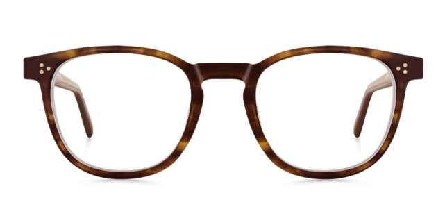 model 8021-4 (earth)