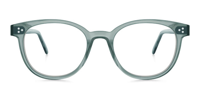 model 8026-1 (earth)