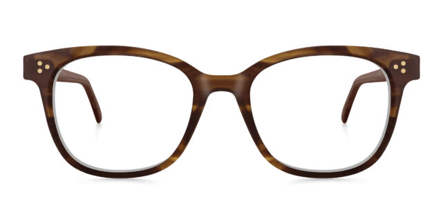 model 8029-1 (earth)