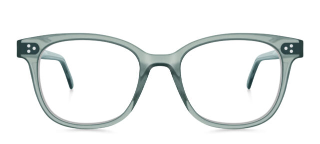 model 8029-1 (earth)