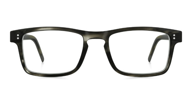 model 8031-1