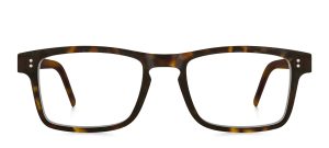 model 8031-1