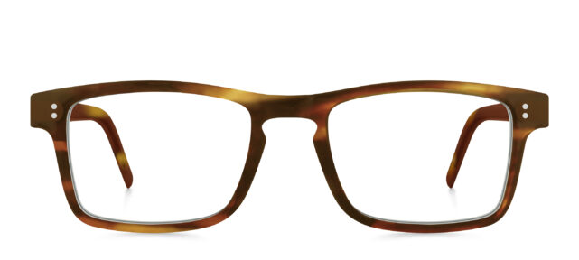 model 8031-1