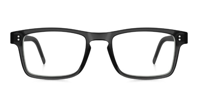 model 8031-1