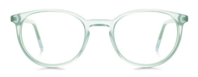 model 856-1 (49)