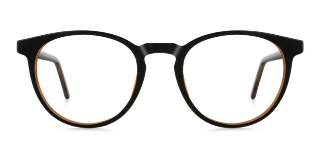 model 856-20 (51)