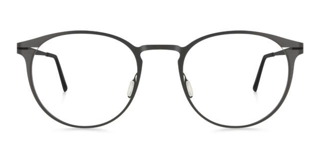 model 856-24 (51)
