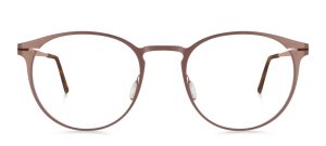 model 856-24 (51)