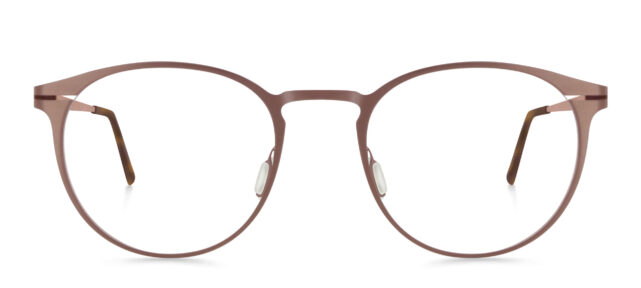 model 856-24 (51)