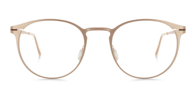 model 856-24 (51)
