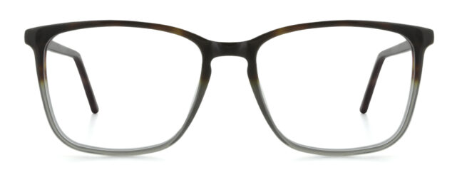 model 884-1