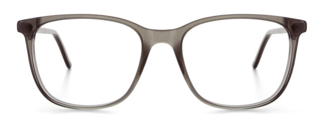 model 889-1