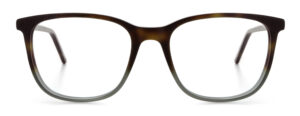 model 889-1
