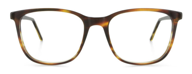 model 889-1