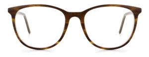 model 895-1