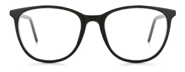 model 895-1