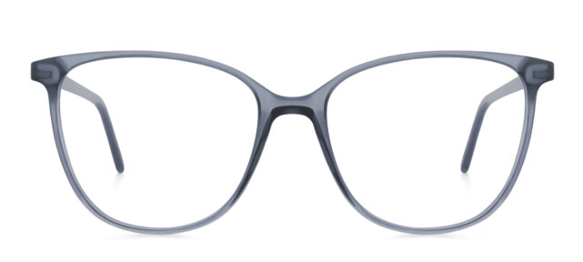 model 897-1