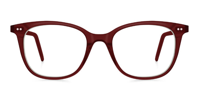 model 8029-2 (water)