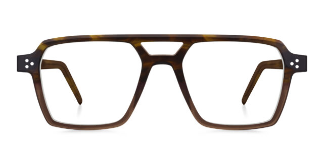 model 8038-1 (earth)