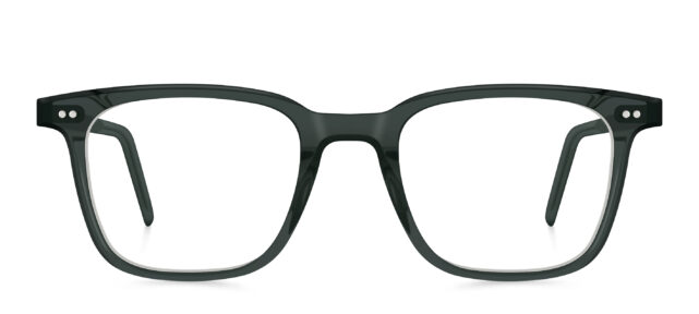 model 8040-1 (50 ·  water)