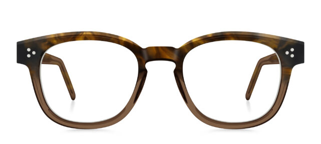 model 8037-1 (earth)