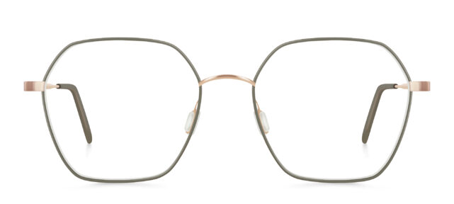model 429-4 (55)