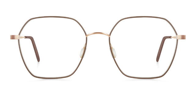 model 429-4 (55)