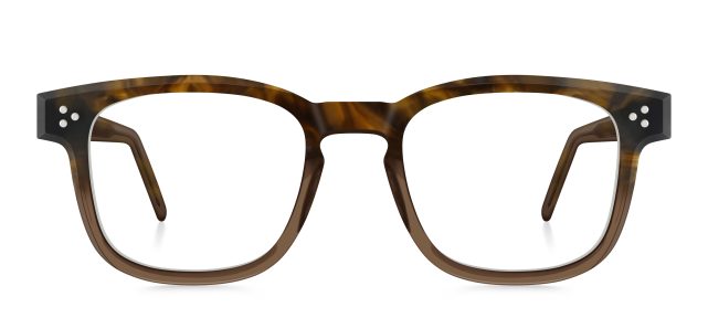 model 8025-5 (51 · earth)