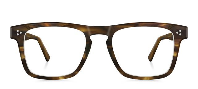model 8042-1 (54 · earth)